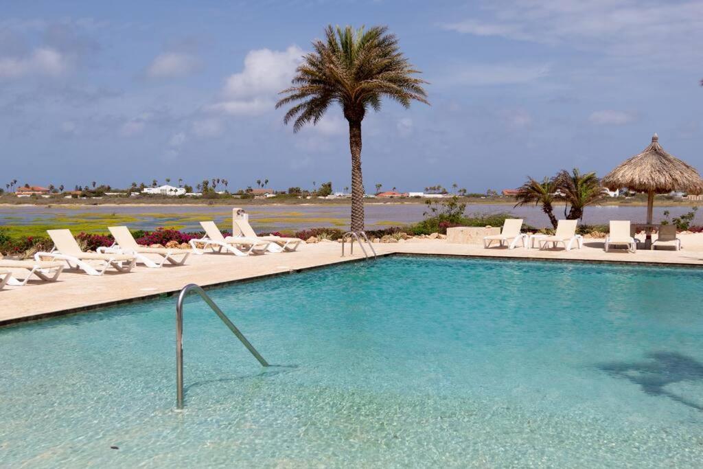 New! Cozy 1 Bedroom Condo- Gold Coast, Noord Aruba Palm Beach Exteriör bild