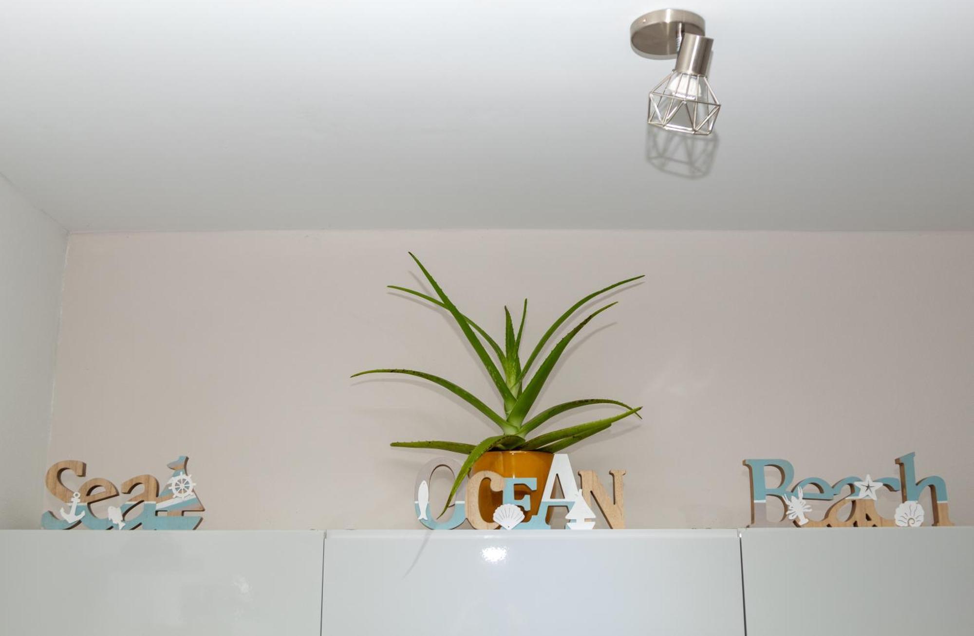 New! Cozy 1 Bedroom Condo- Gold Coast, Noord Aruba Palm Beach Exteriör bild